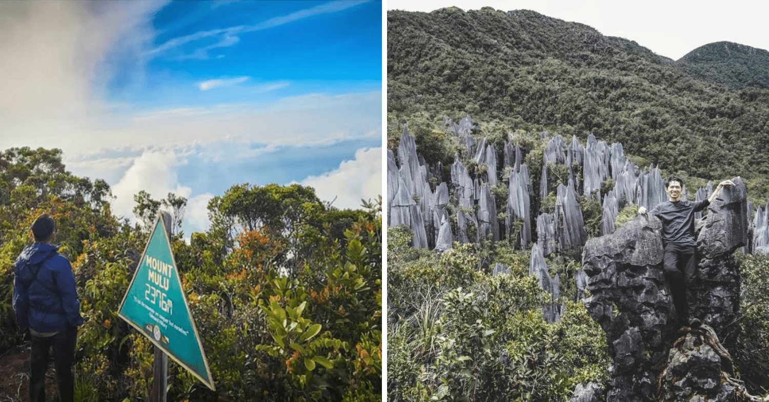 The Summit & Pinnacles