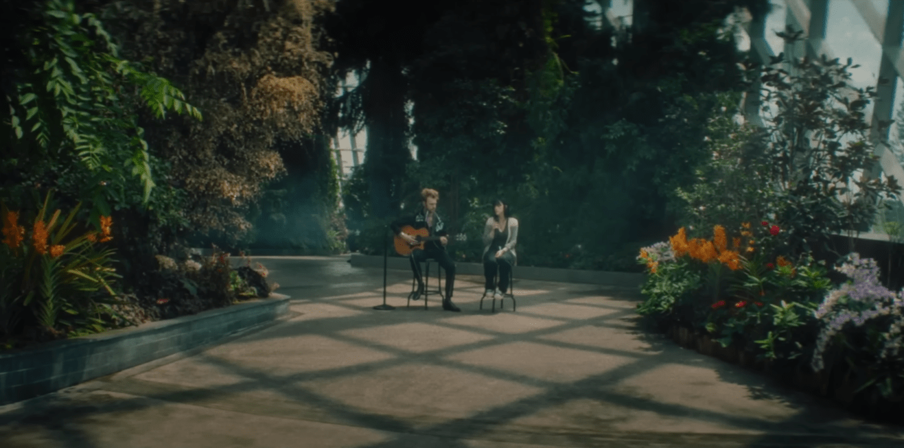 Billie Eilish's music video filmed in the Cloud Forest, Singapore