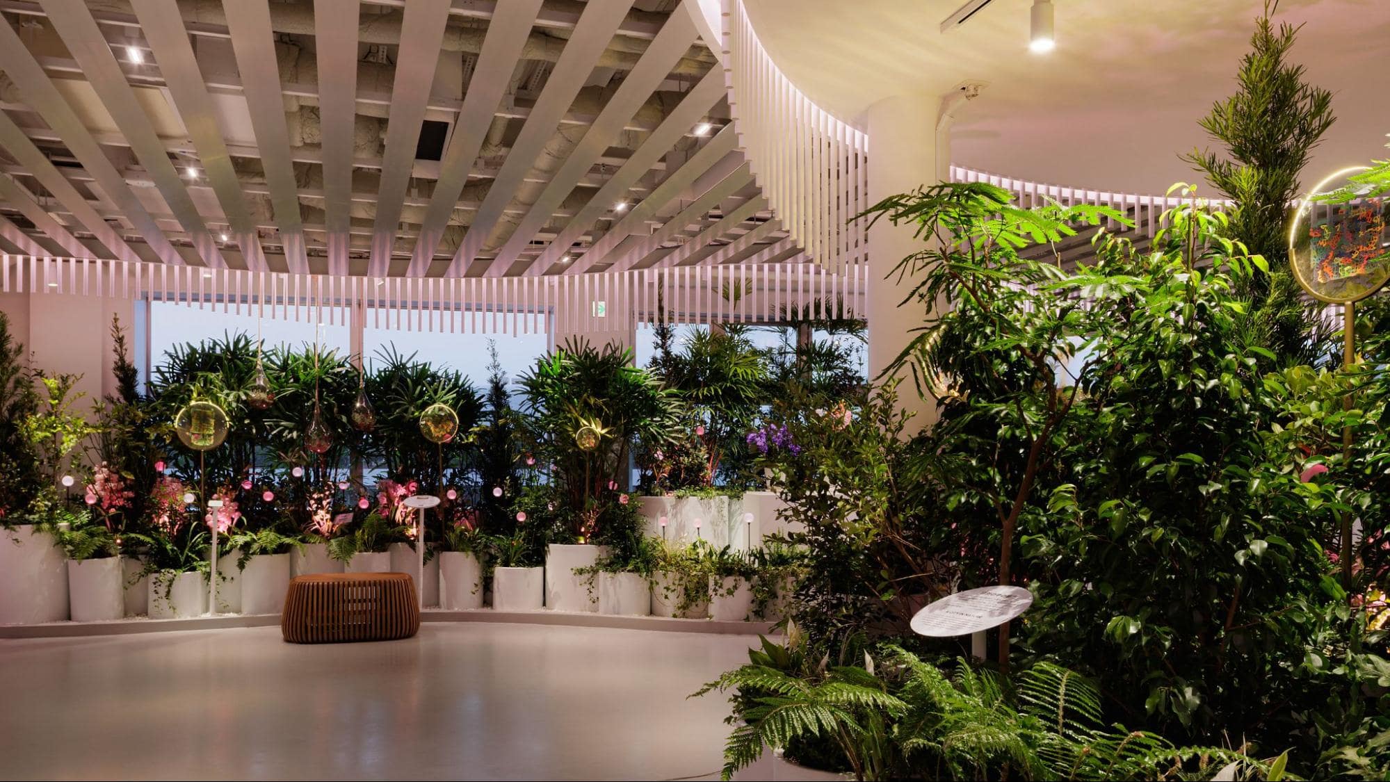 Dream Forest in Singapore Pavilion, Osaka Expo 2025