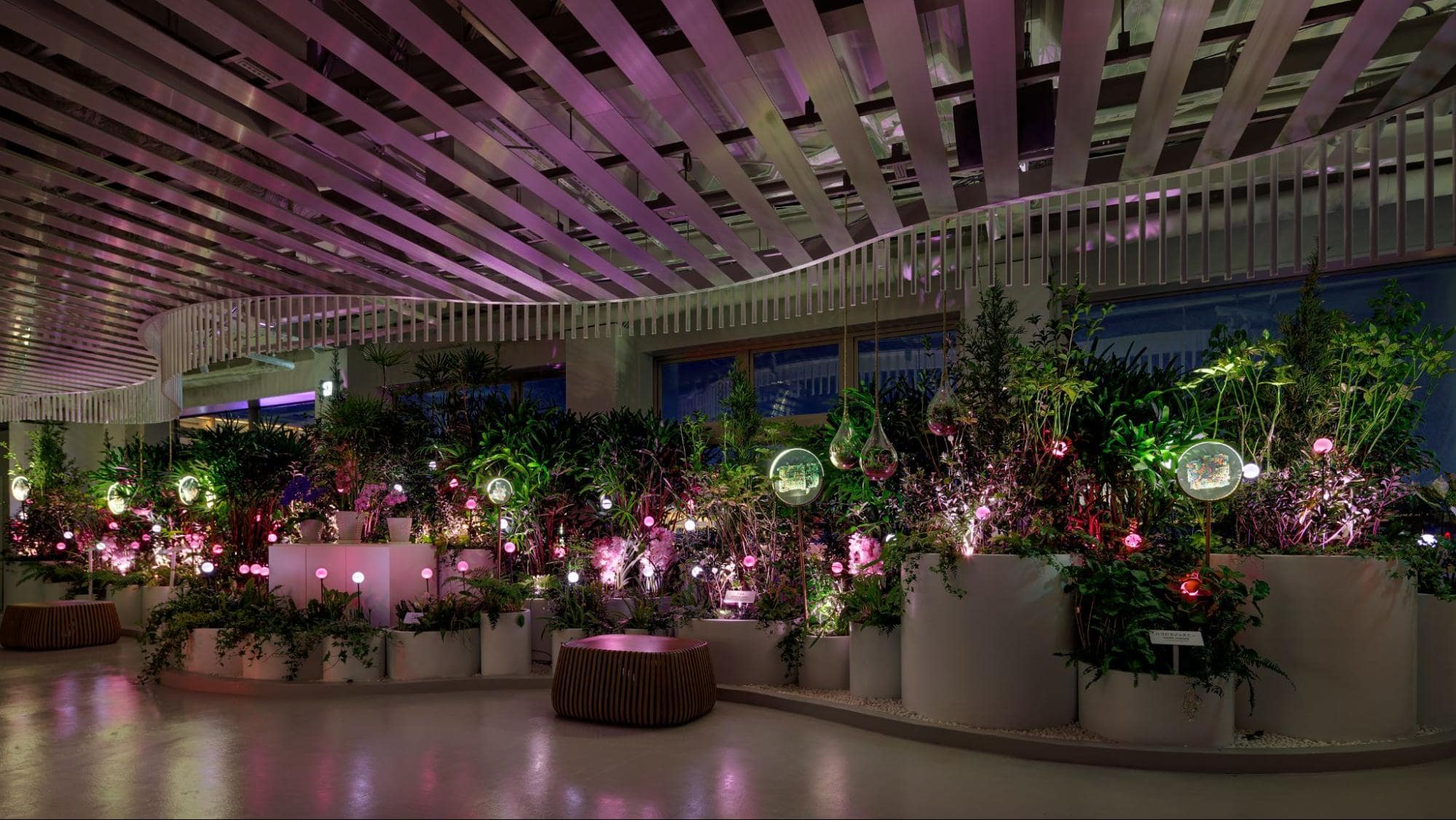 Dream Forest during Magic Hour in Singapore Pavilion, Osaka Expo 2025