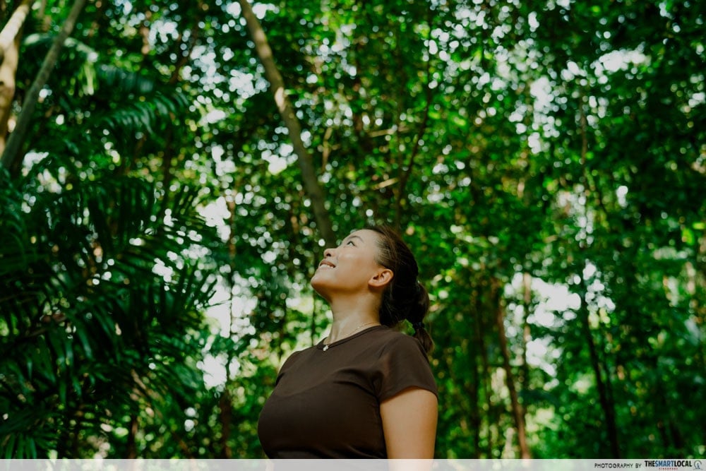 Look up in the Sunlight