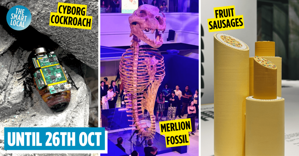 Unnatural History Museum of Singapore - SG Design Week 2025