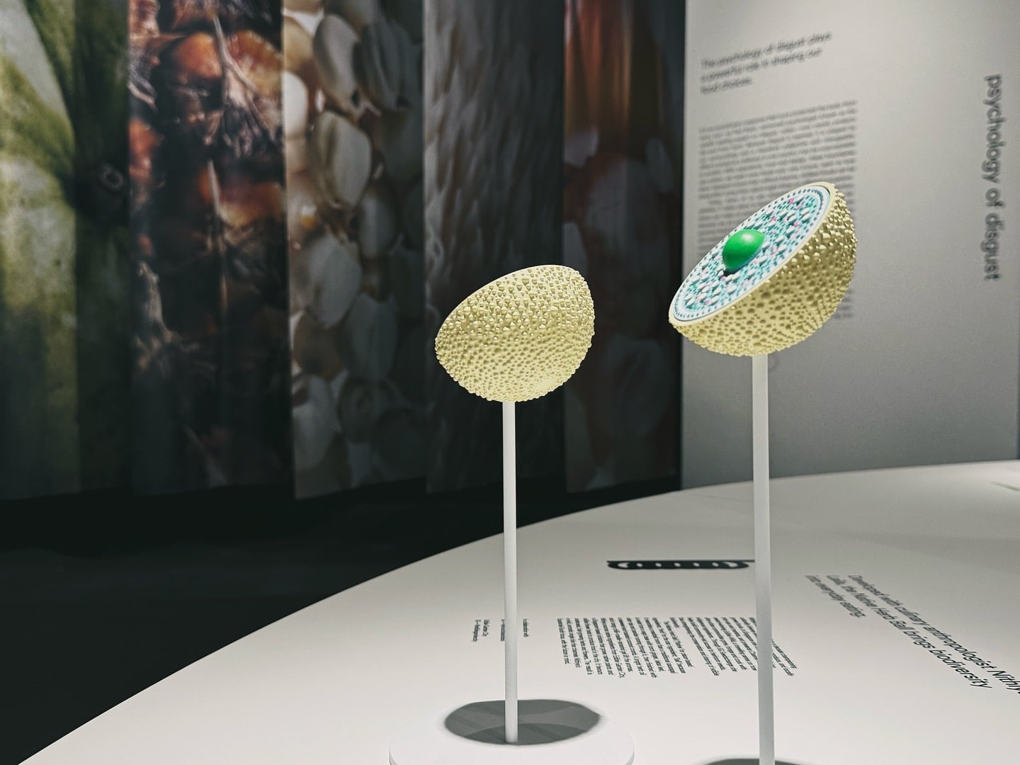 Unnatural History Museum of Singapore - sausage sculptures