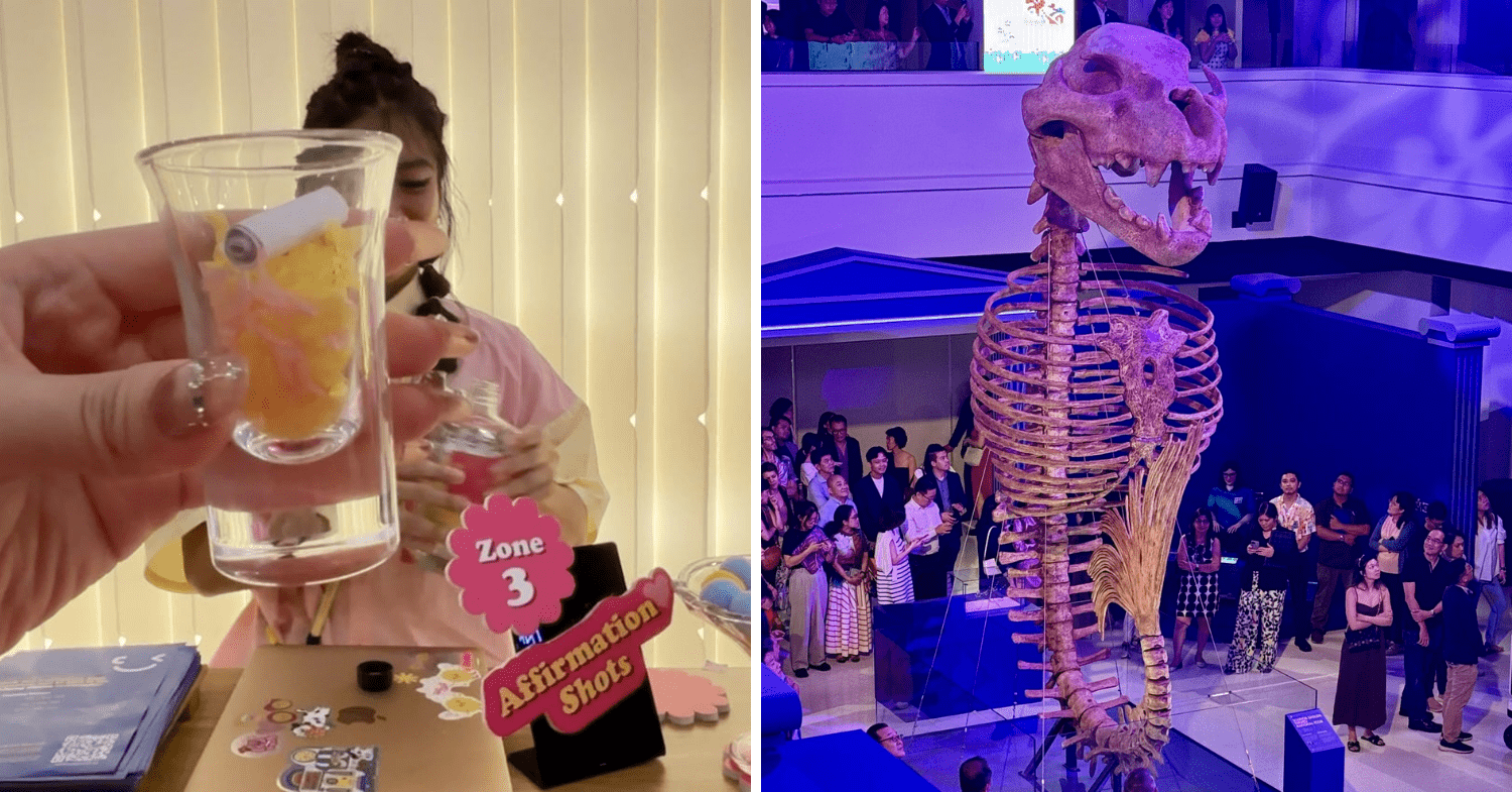 Well-Being Bar and Unnatural History Museum