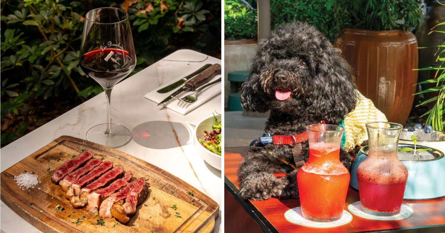 les bouchons, publico