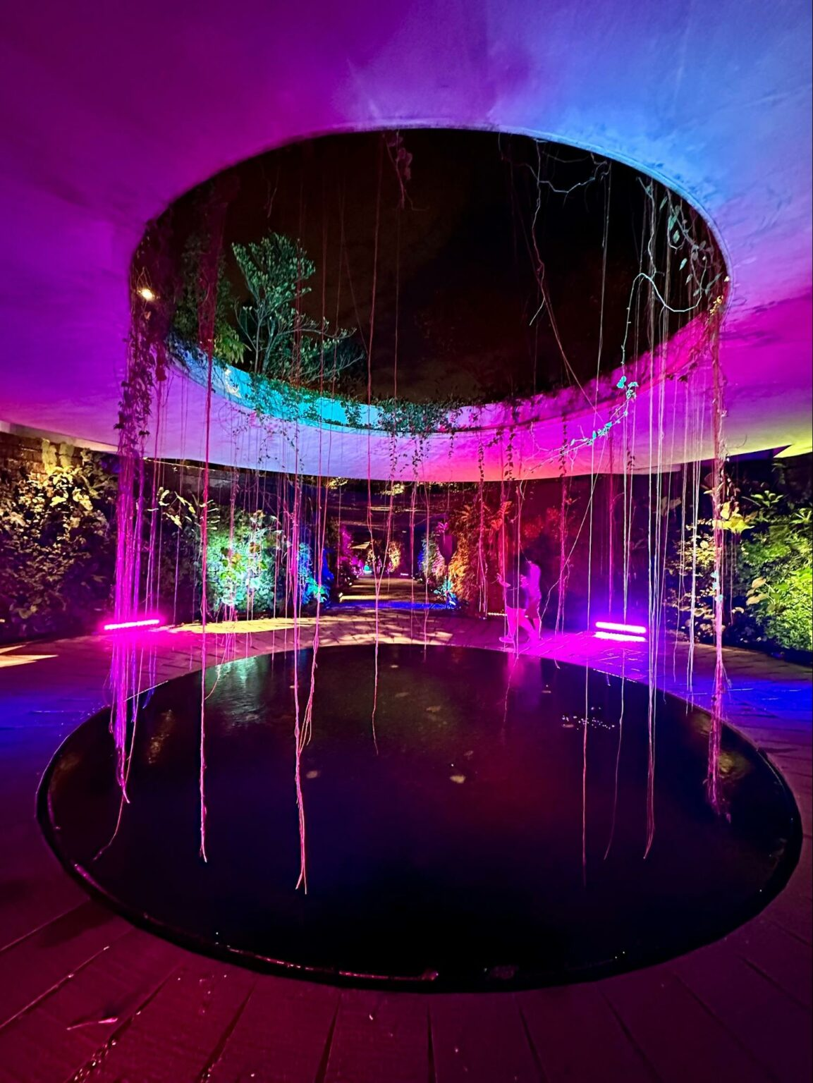 lights by the lake - Sunken Garden 