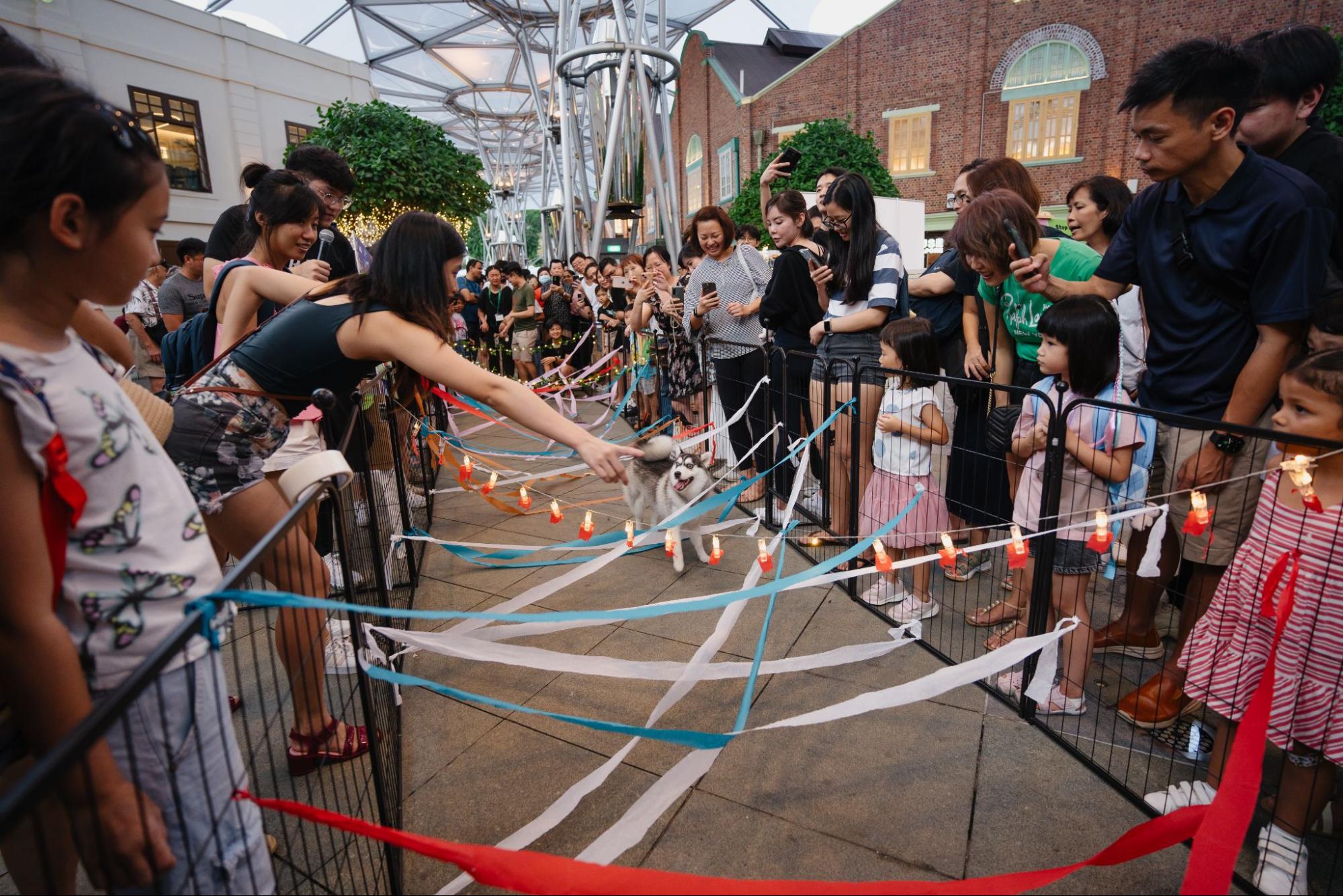 singapore river festival - singapaw