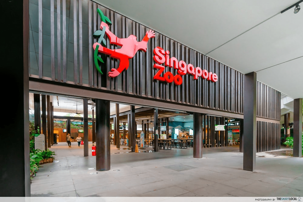singapore zoo 1