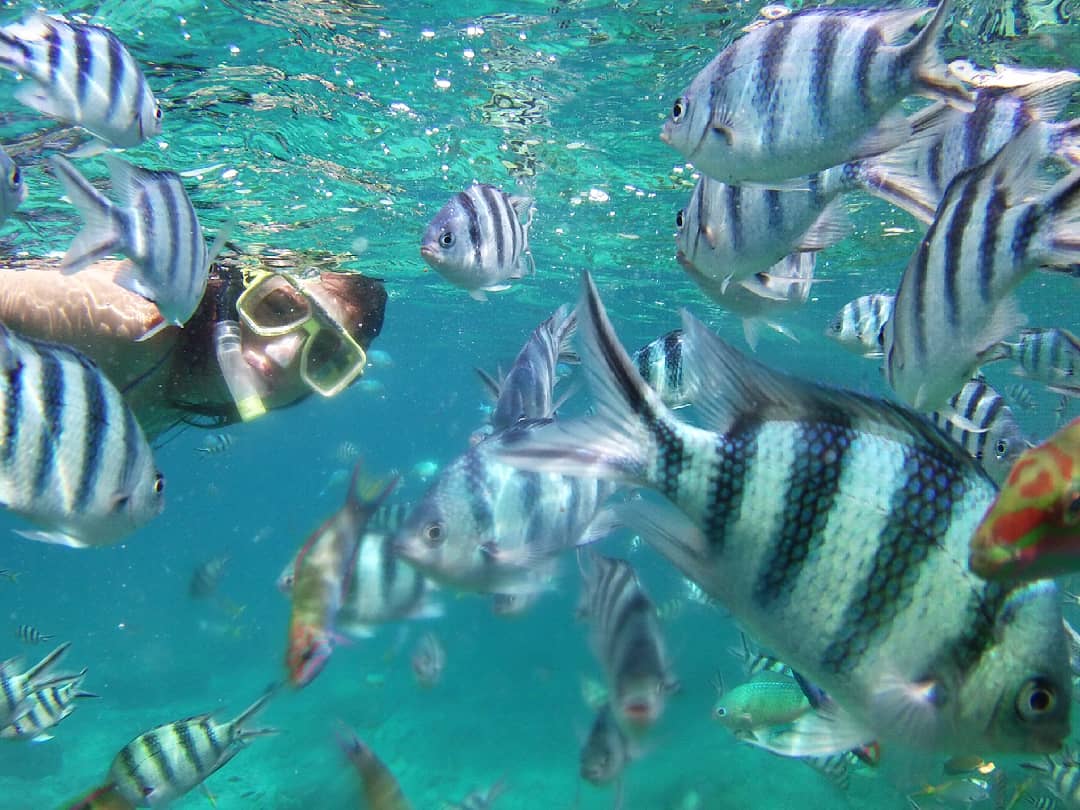 snorkelling in rawa island