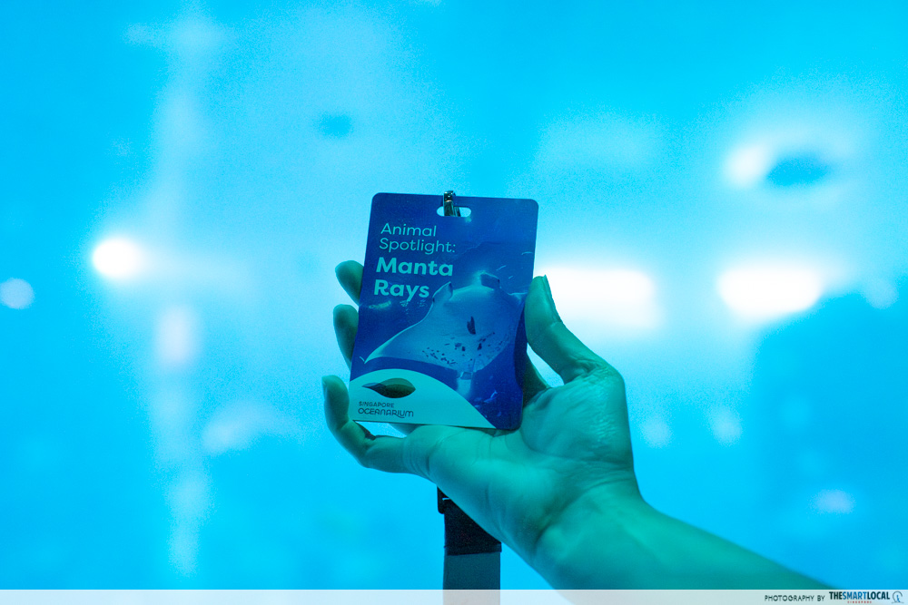 Animal Spotlight lanyard 