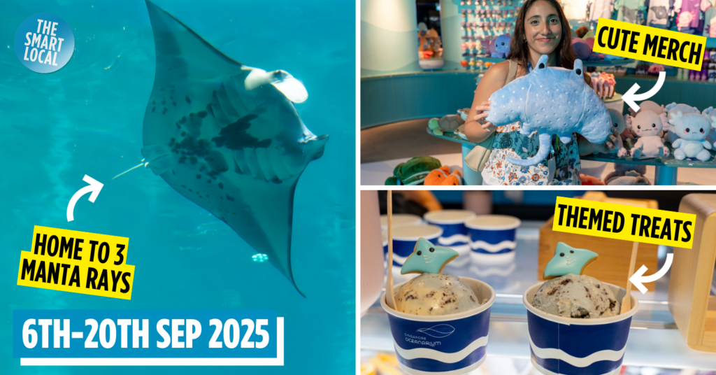 world manta day - cover image