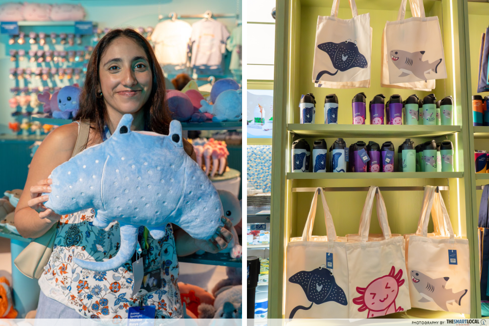 manta ray merchandise 