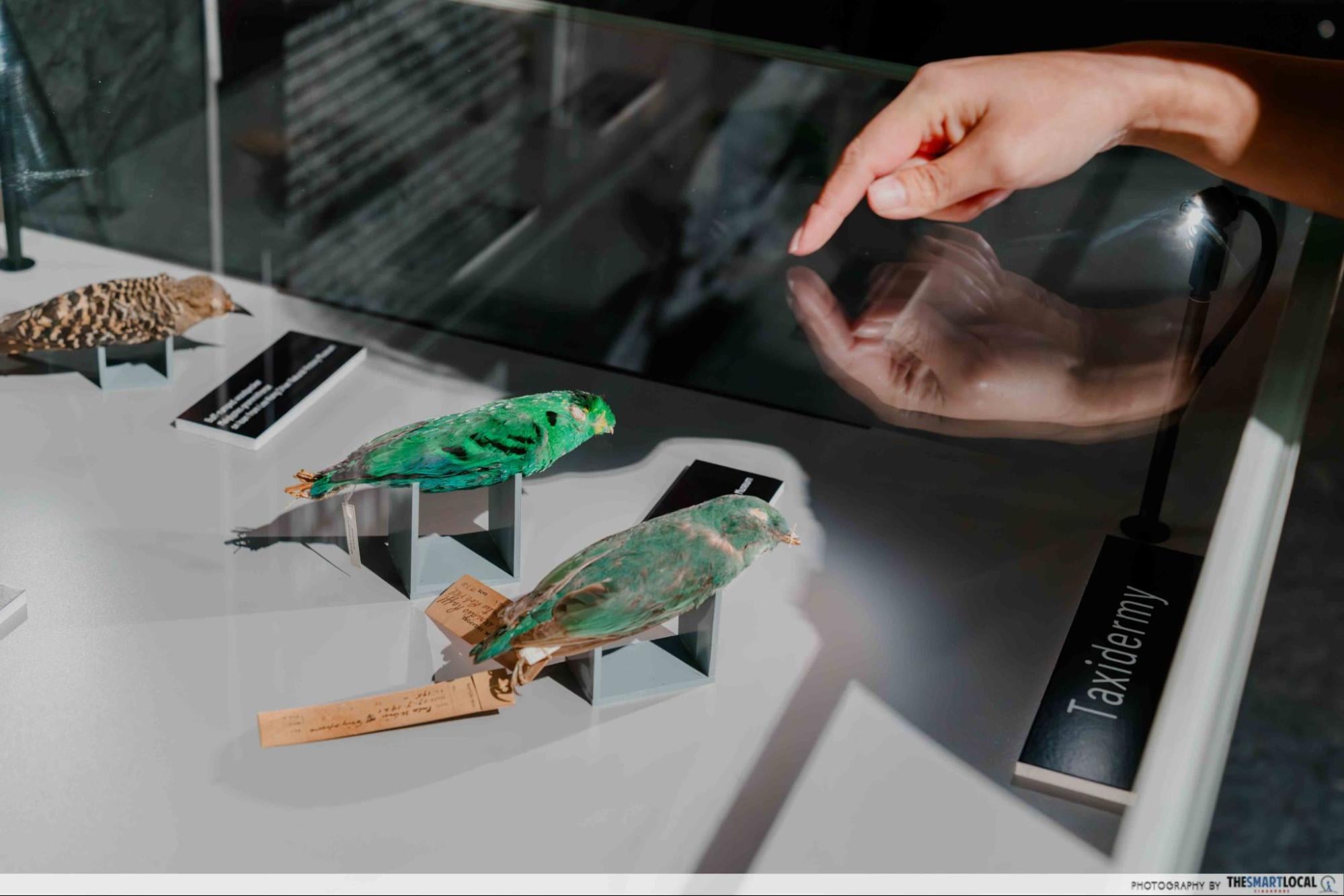 Dinosaurs Extinctions Us Exhibition - Biodiversity challenges