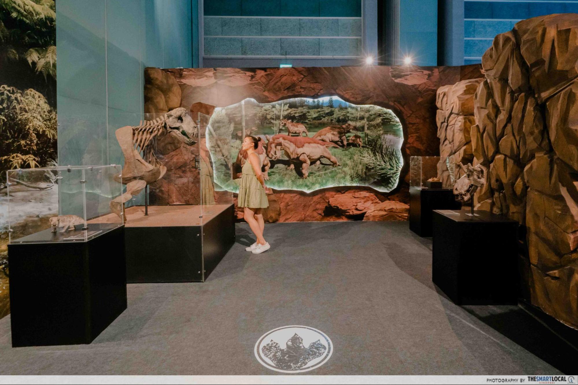 Dinosaurs Extinctions Us Exhibition - Displays