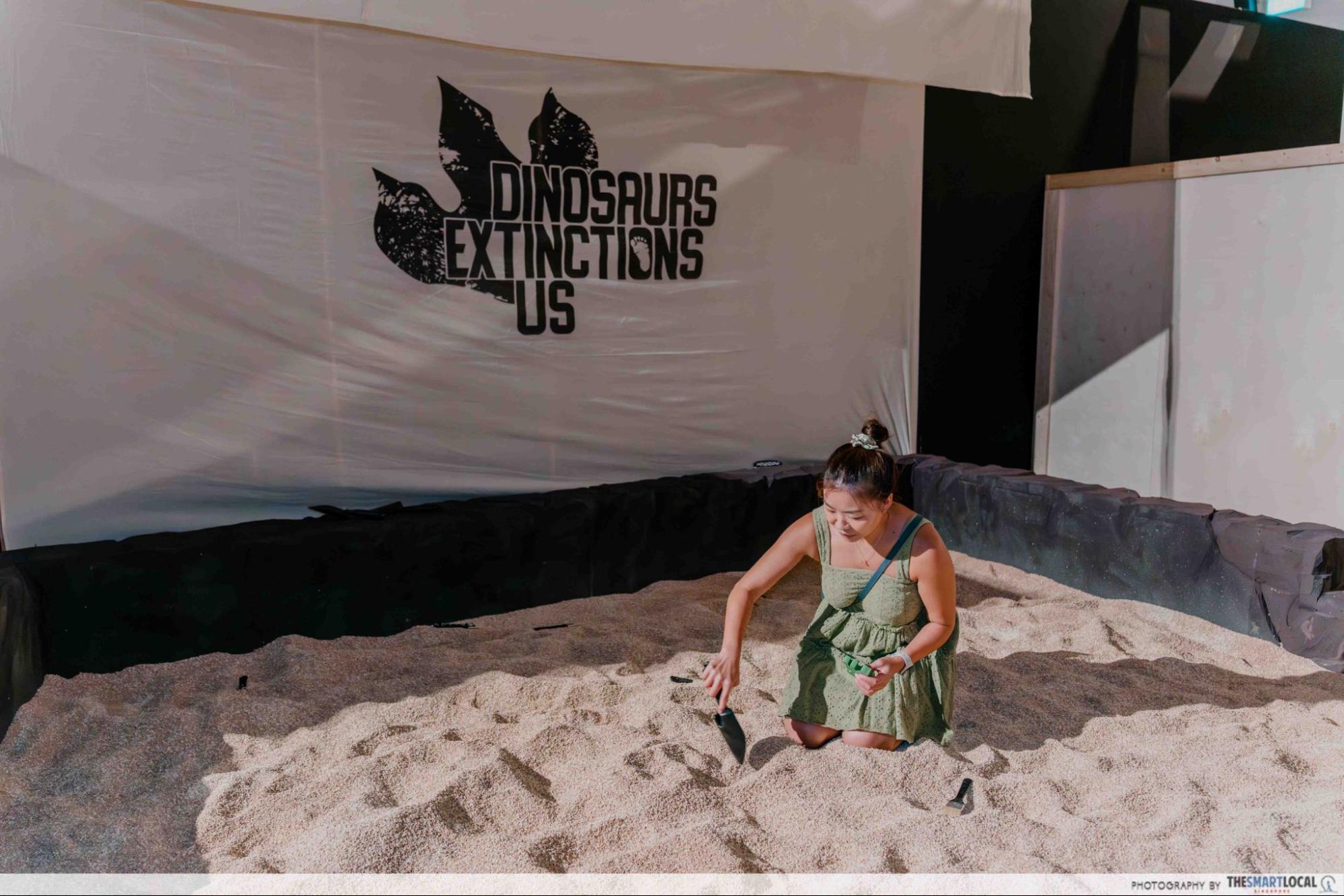 Dinosaurs Extinctions Us Exhibition - Excavation Site