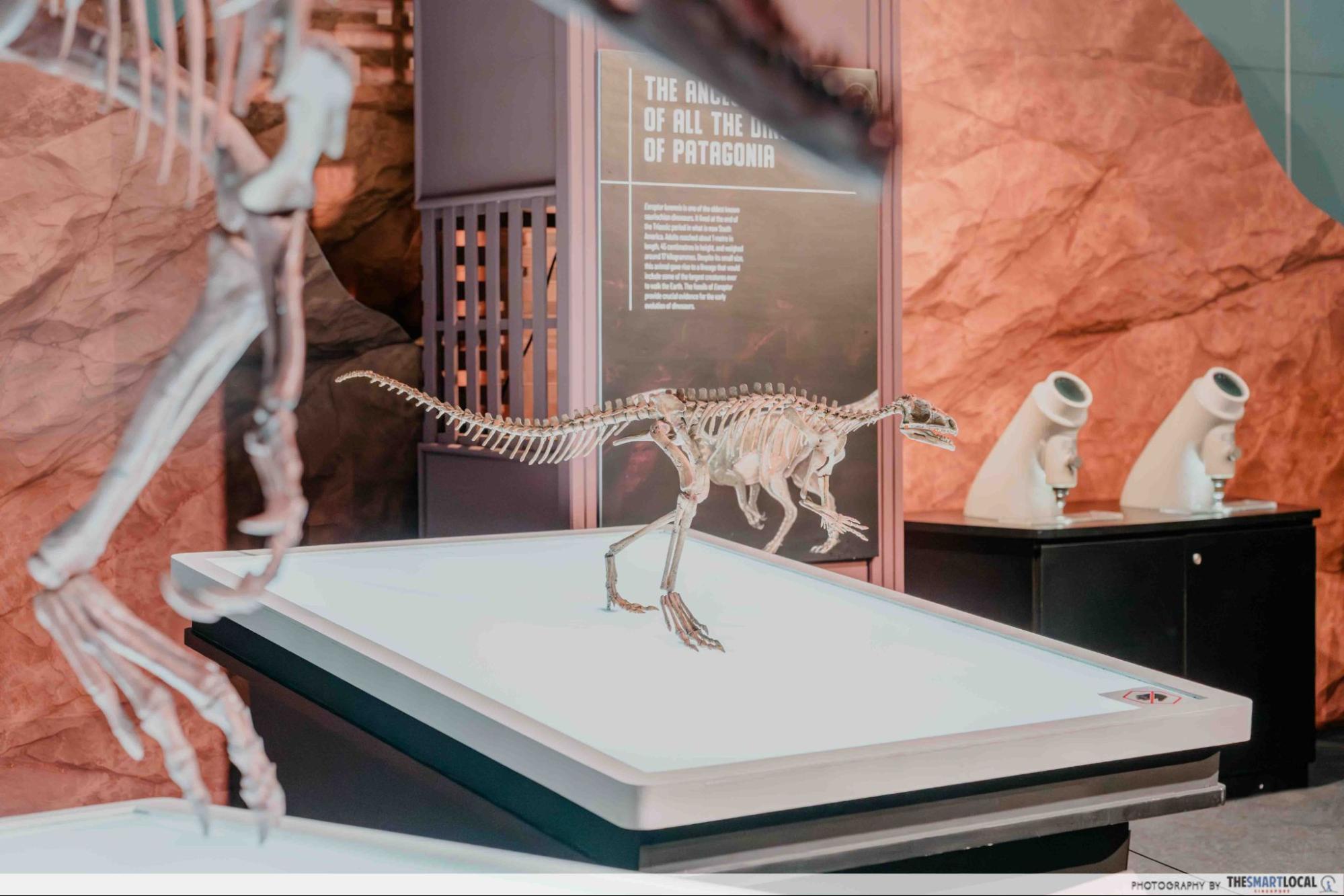 Dinosaurs Extinctions Us Exhibition - Small Dinosaur