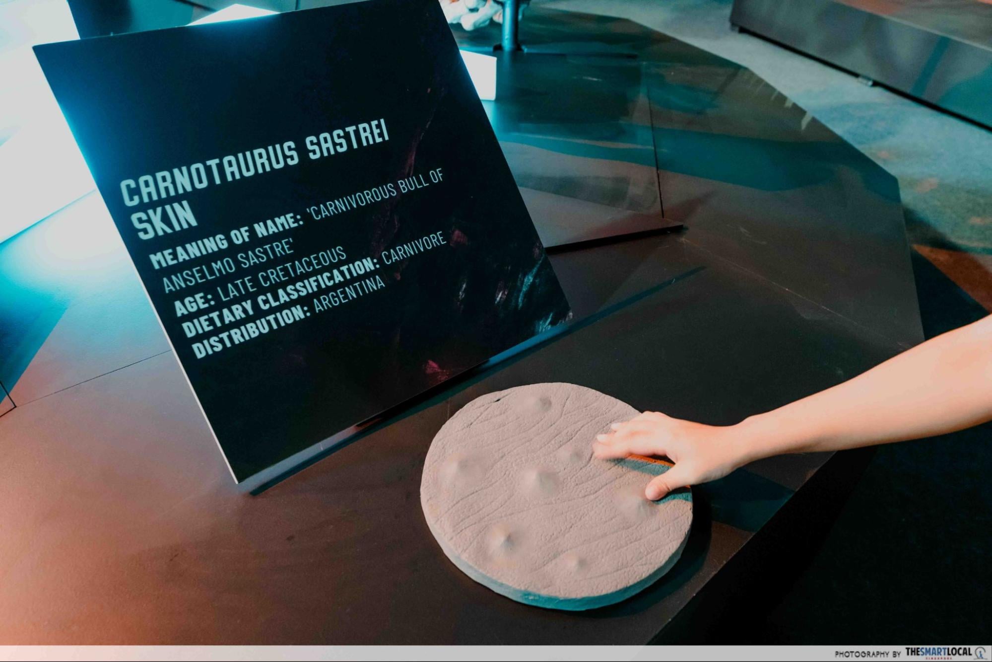 Dinosaurs Extinctions Us Exhibition - Touch Dino Skin