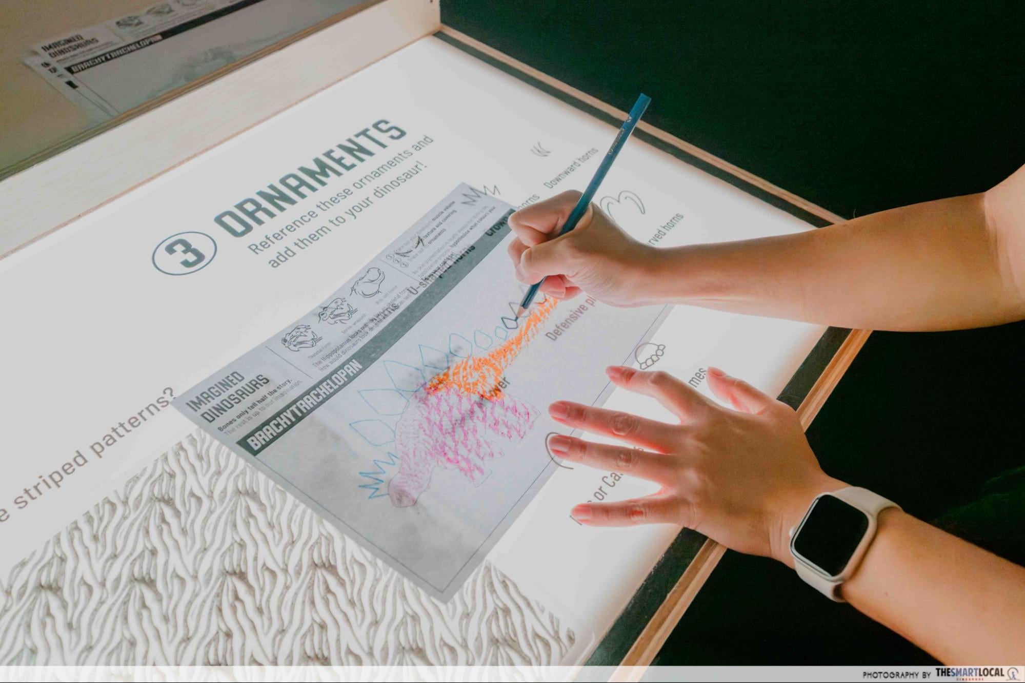 Tracing and colouring