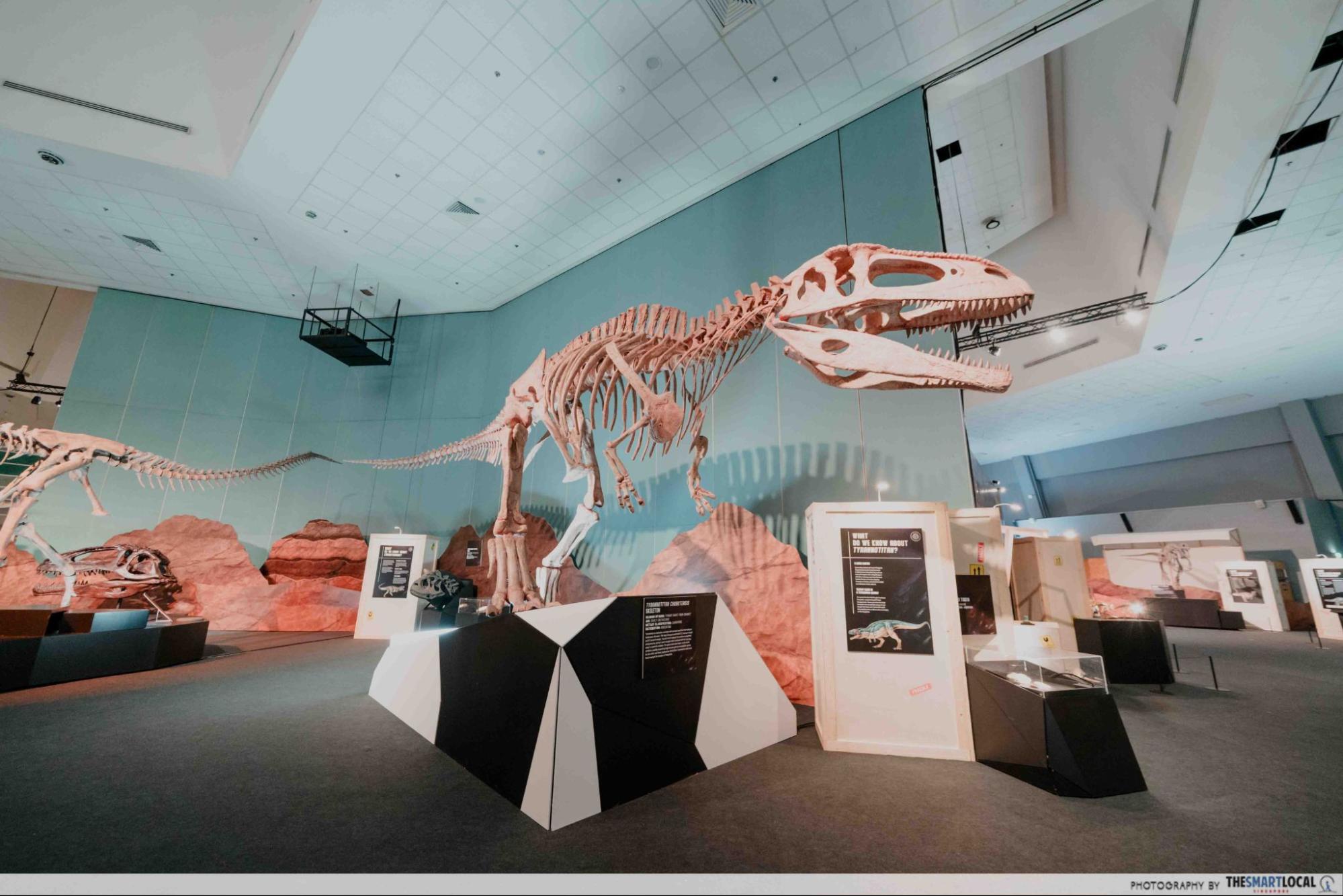 Dinosaurs Extinctions Us Exhibition - What is it