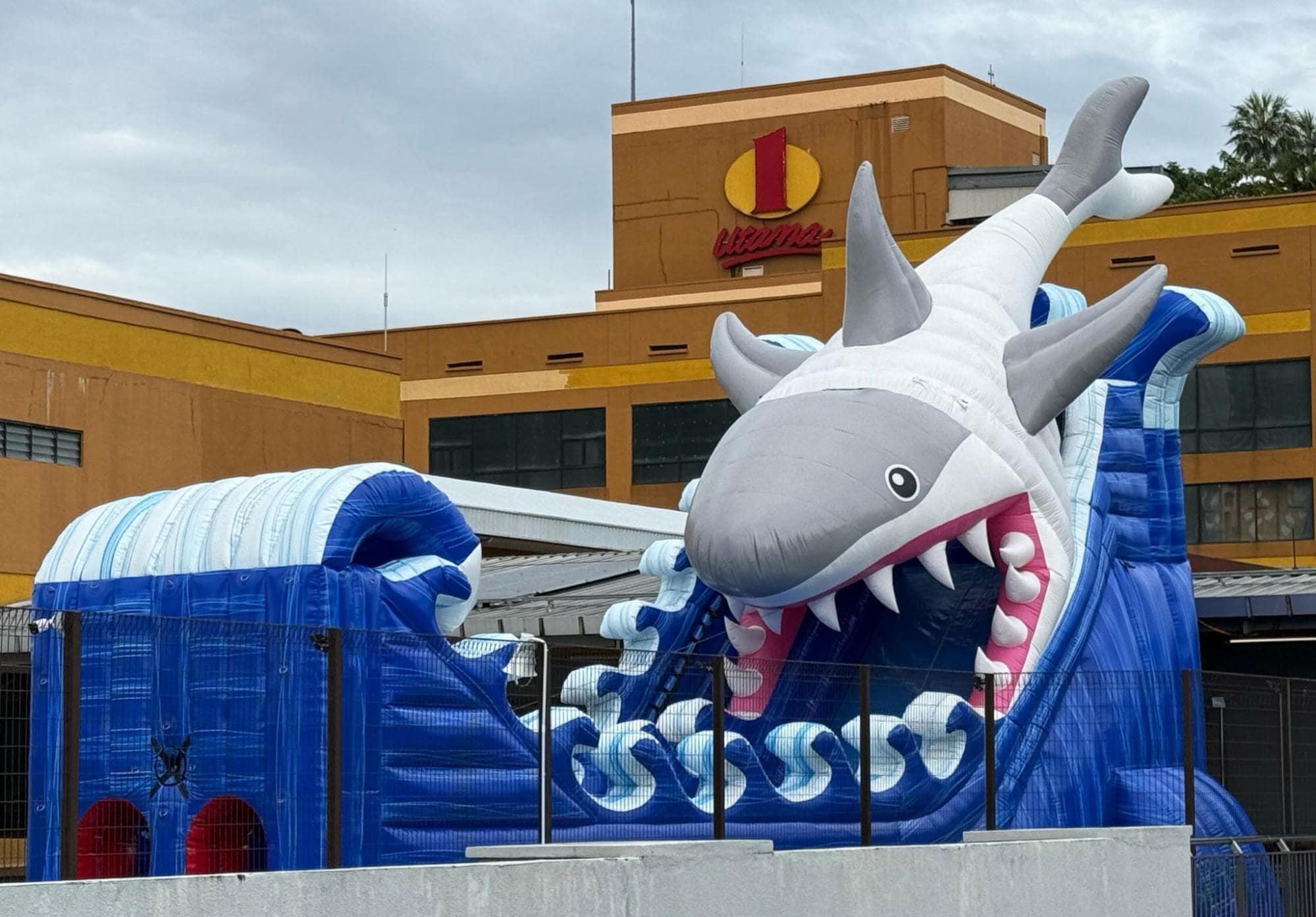 Zip Jaw Water Play at Game On Sports Hub