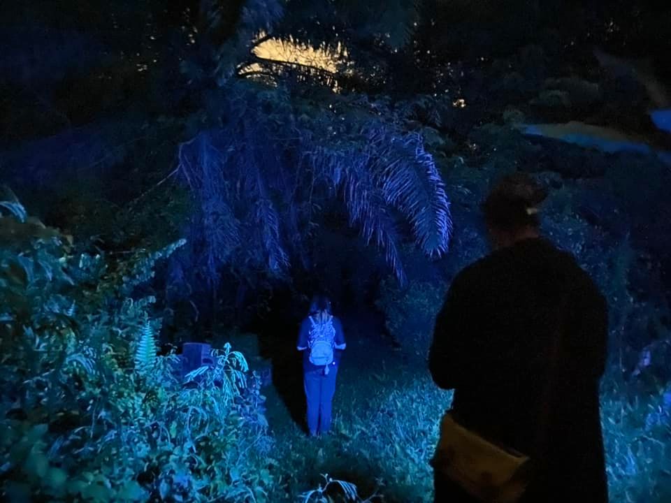 Ghost hunting in the jungle 