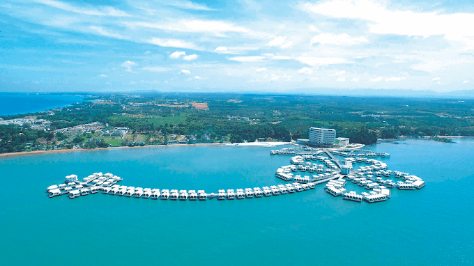 Lexis Hibiscus Flower