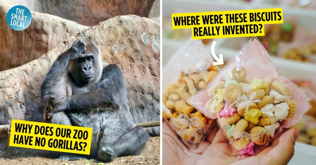 secret facts of singapore