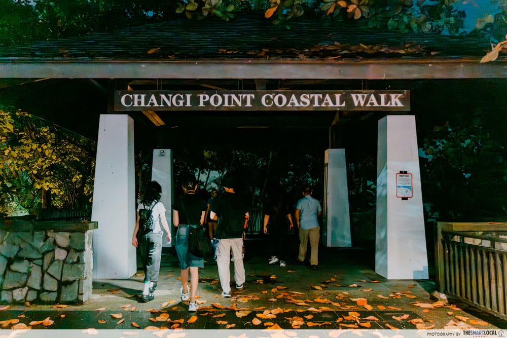 Changi Point Coastal Walk
