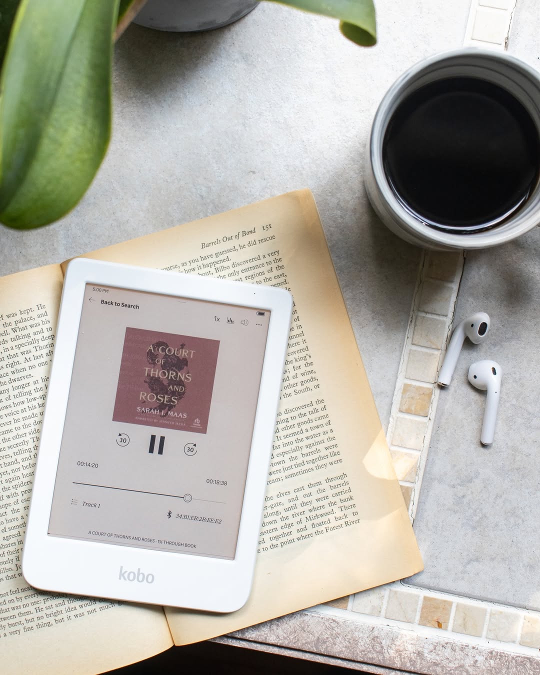 A Court of Thorns and Roses audiobook on Kobo