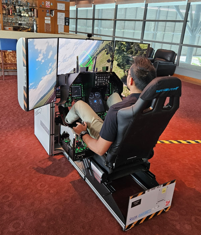 Flight simulator