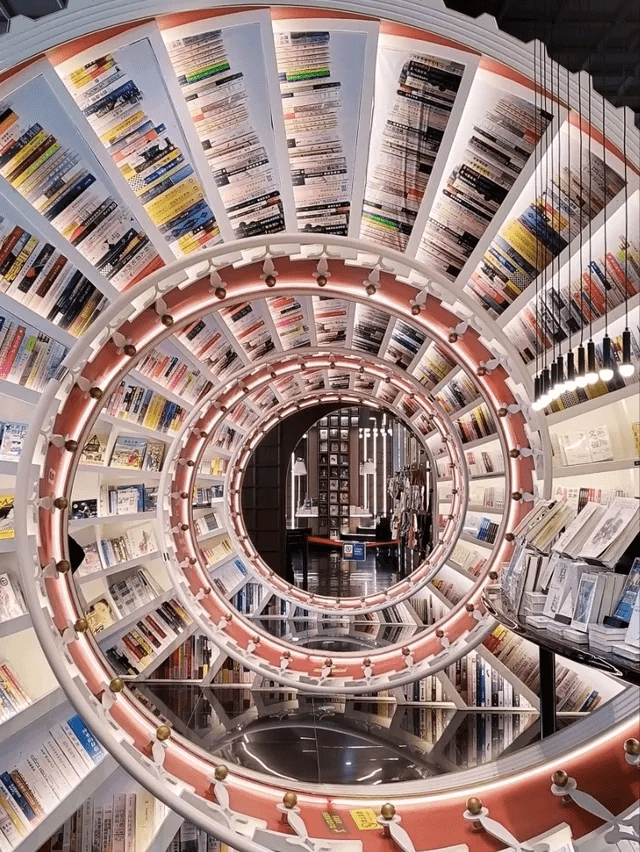 5D4N Shenzhen itinerary - Shenzhen Zhongshuge Bookstore