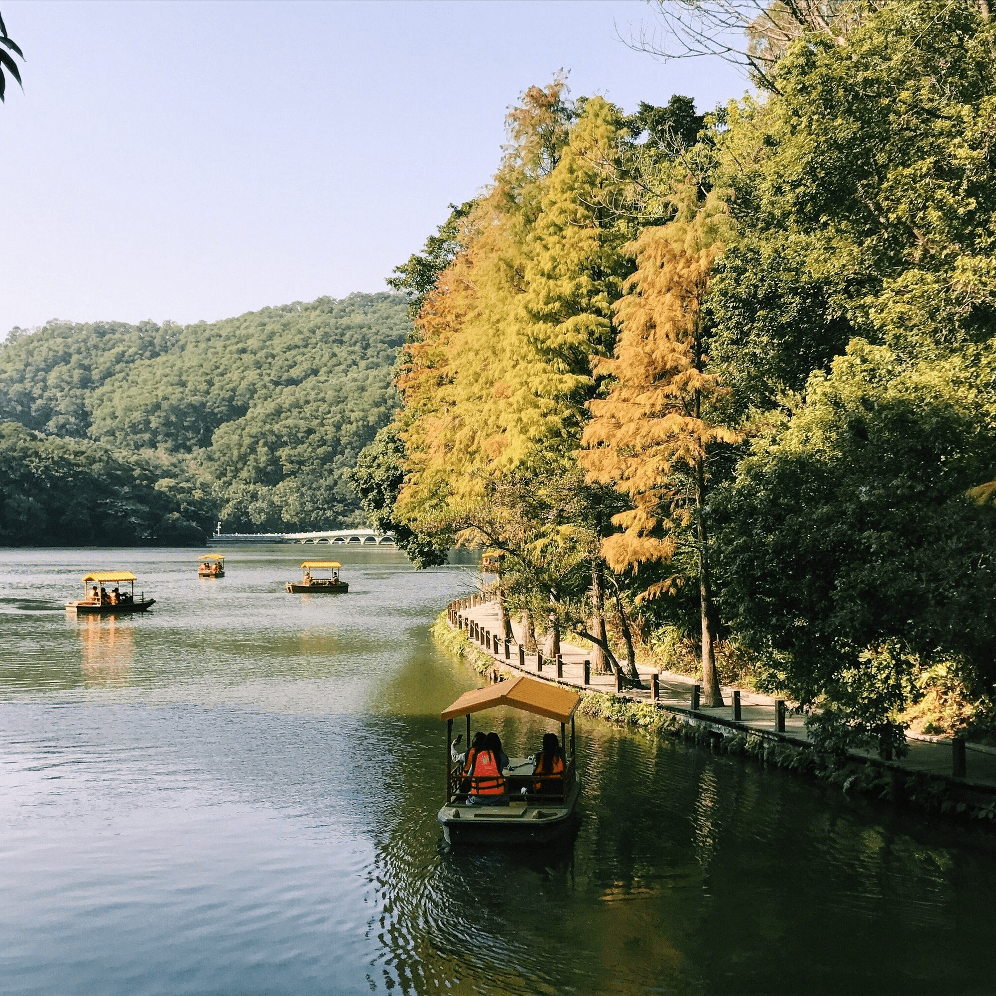 5D4N Shenzhen itinerary - Fairy Lake Botanical Gardens