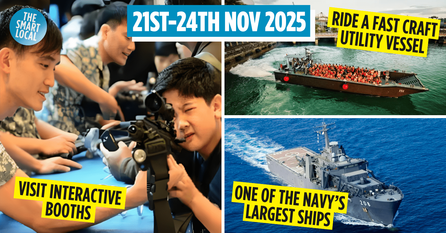 navy vivo - 2025 cover