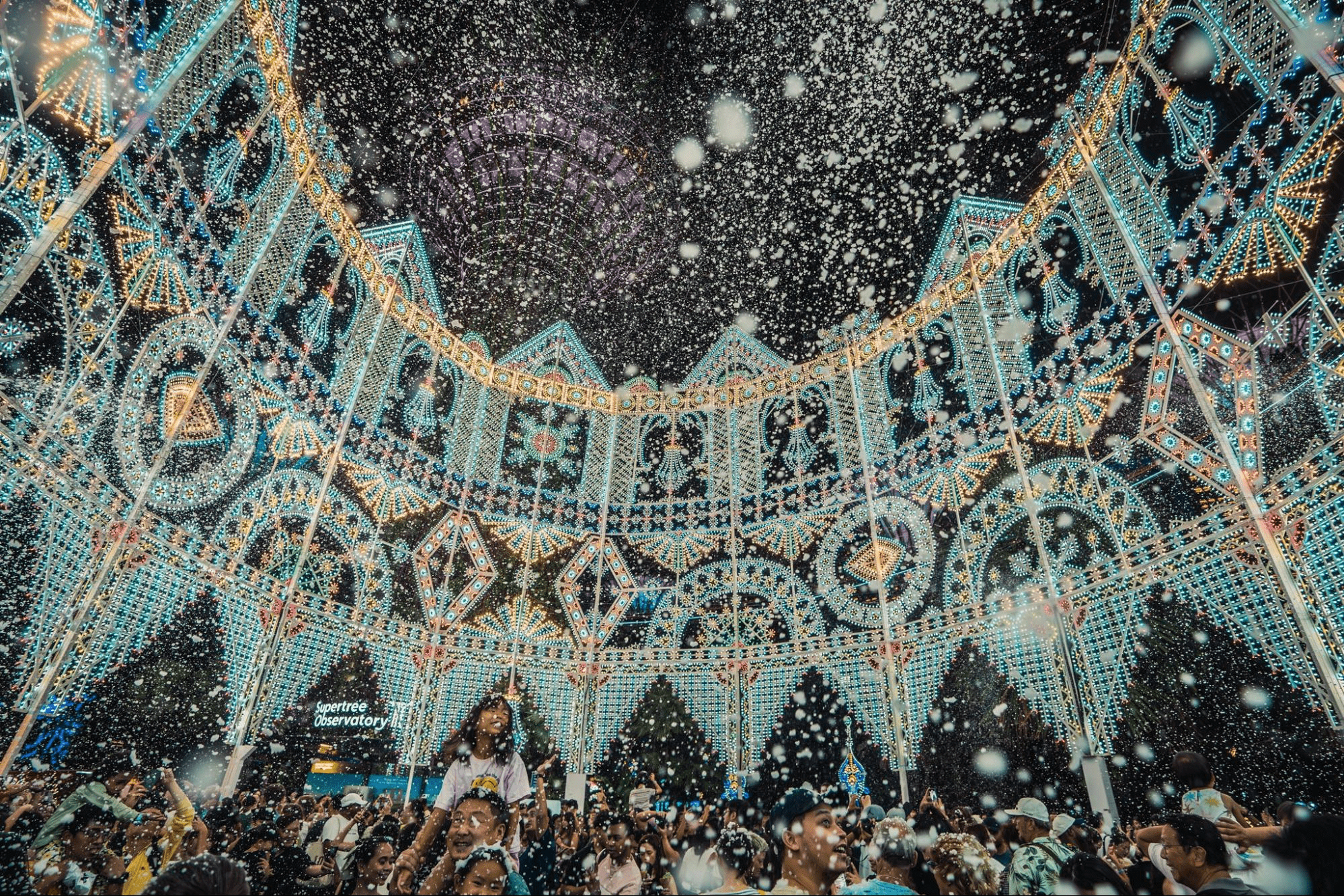 Christmas Wonderland