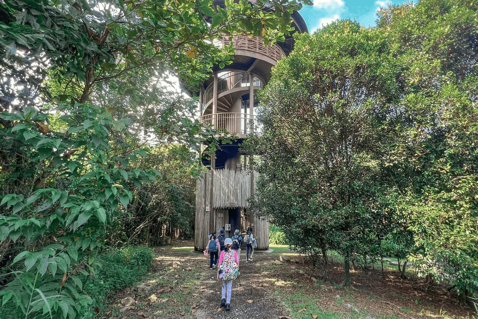 December Holiday Programmes - Wetland Wanderers 2