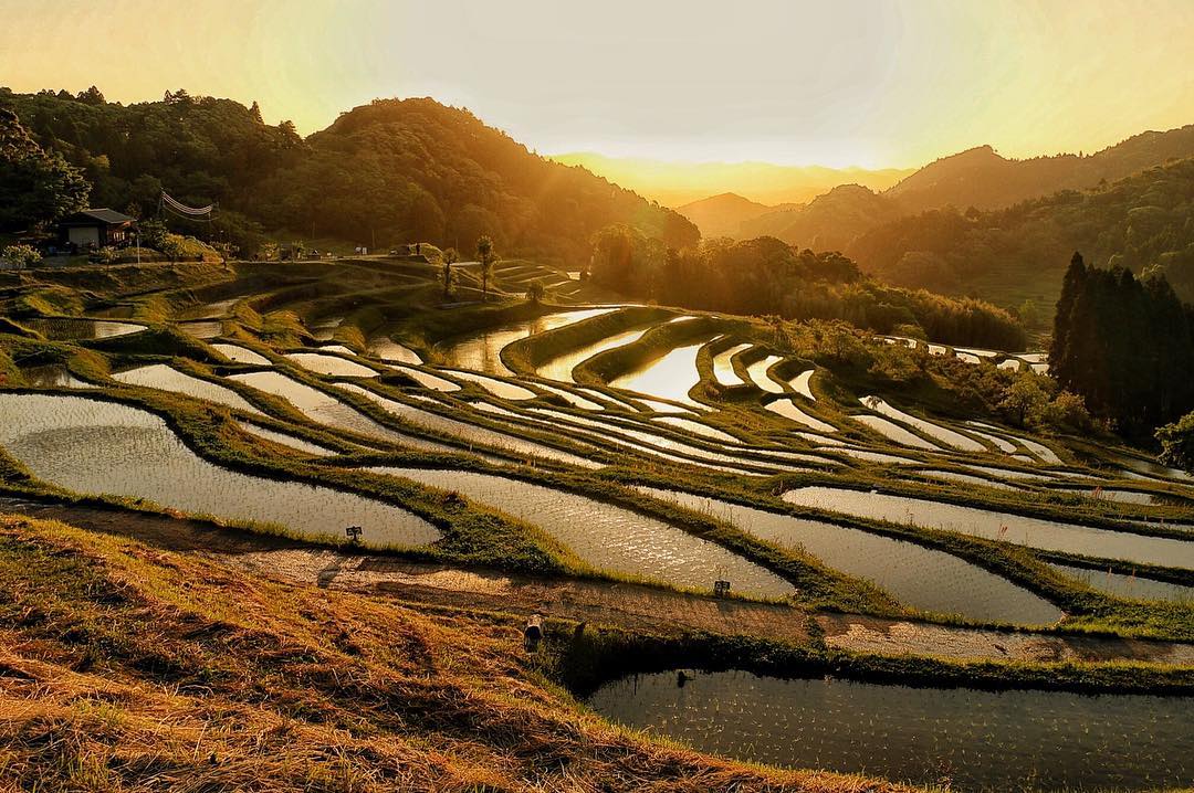 Oyama Senmaida Rice Terraces