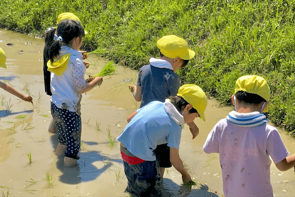 Oyama Senmaida Preservation Society