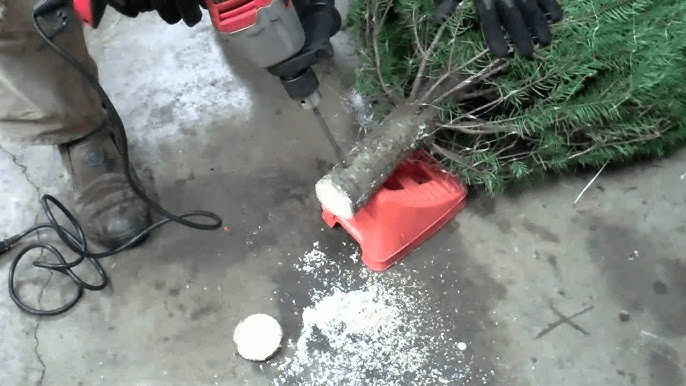 christmas tree - cutting an inch off the bottom