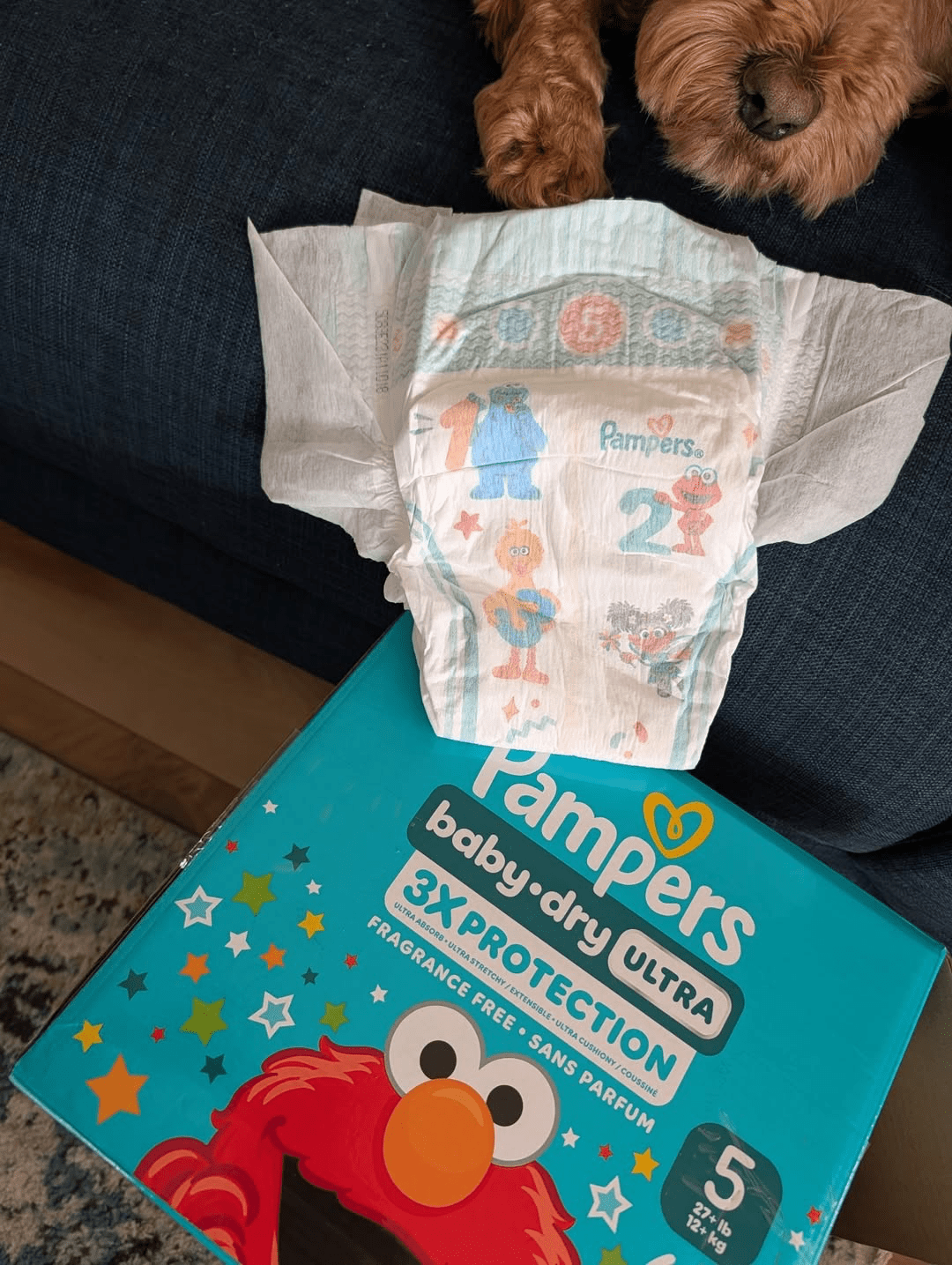 Brand names turned Singaporean vocabulary - Pampers