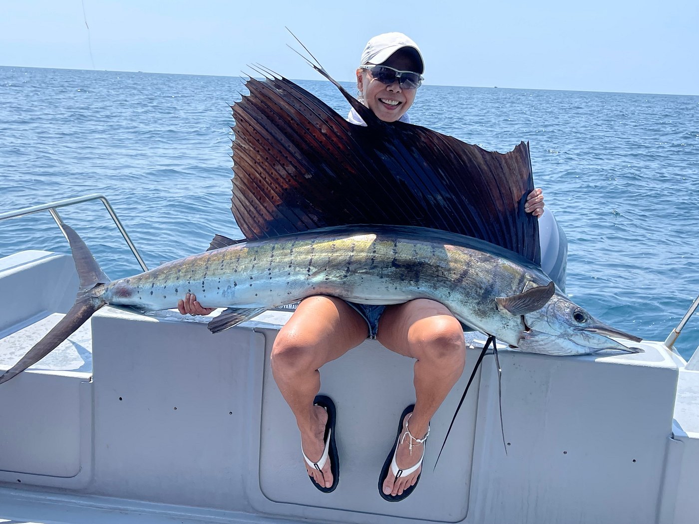sailfish 