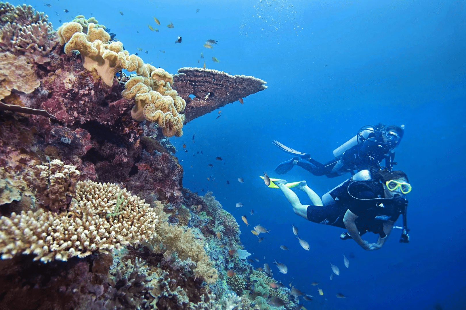 Malaysian towns - tioman diving