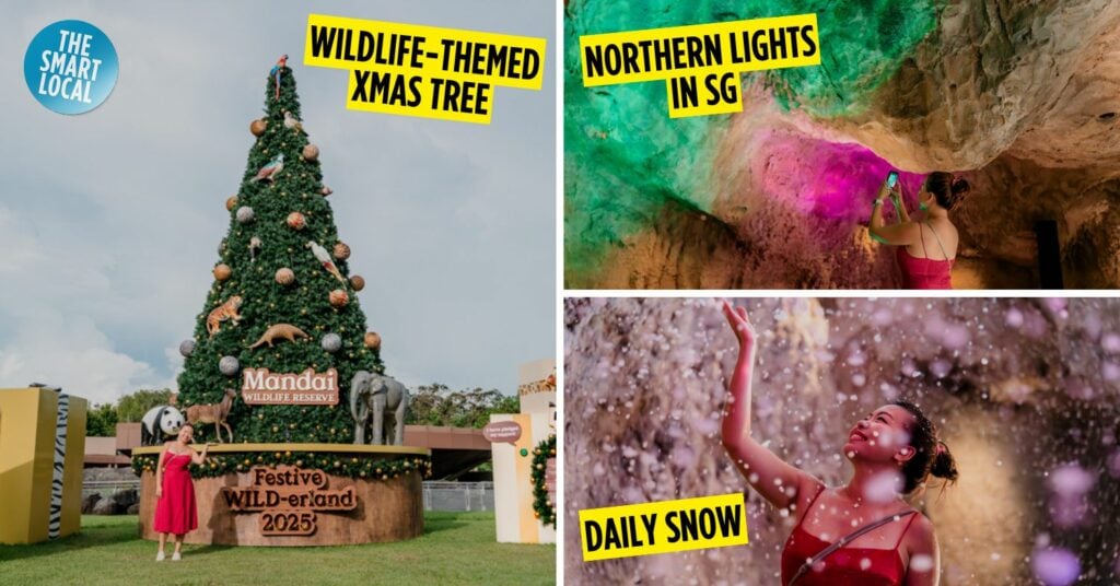 mandai festive wild-erland - cover