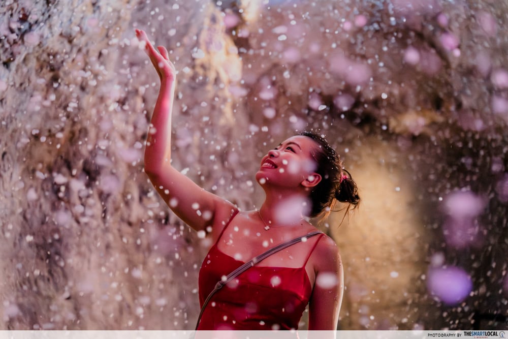 mandai festive wild-erland - faux snow