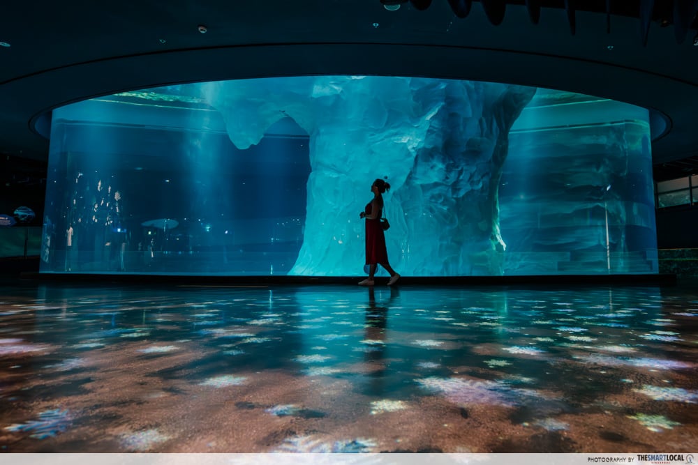 mandai festive wild-erland - penguin cove tank