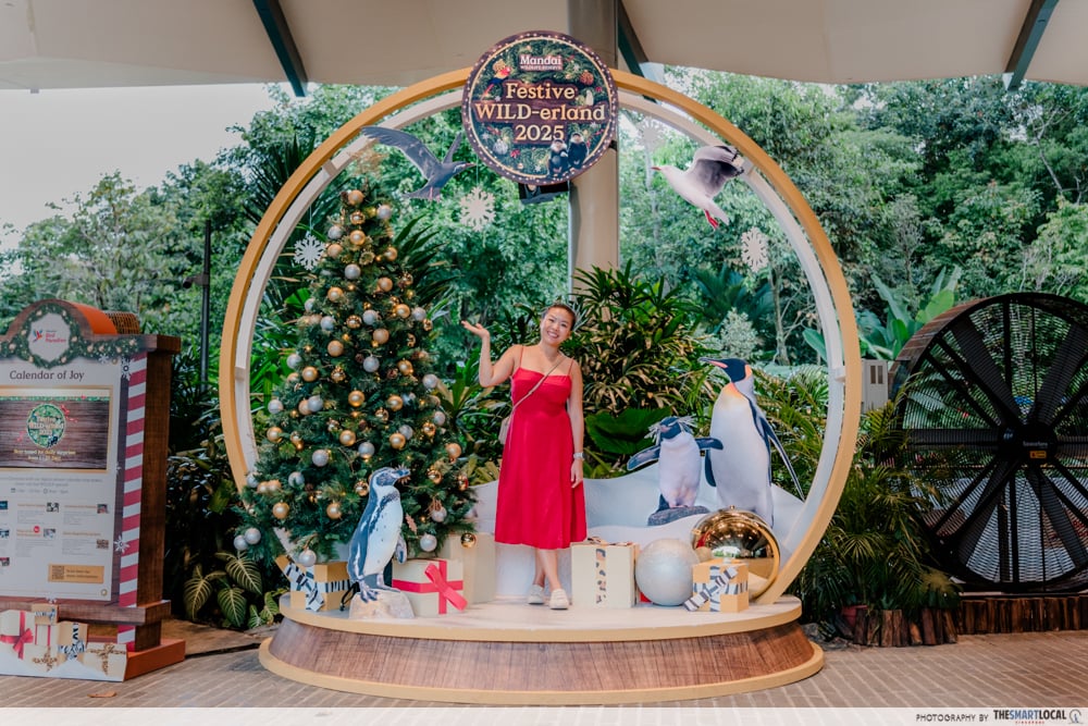 mandai festive wild-erland - photopoint 1