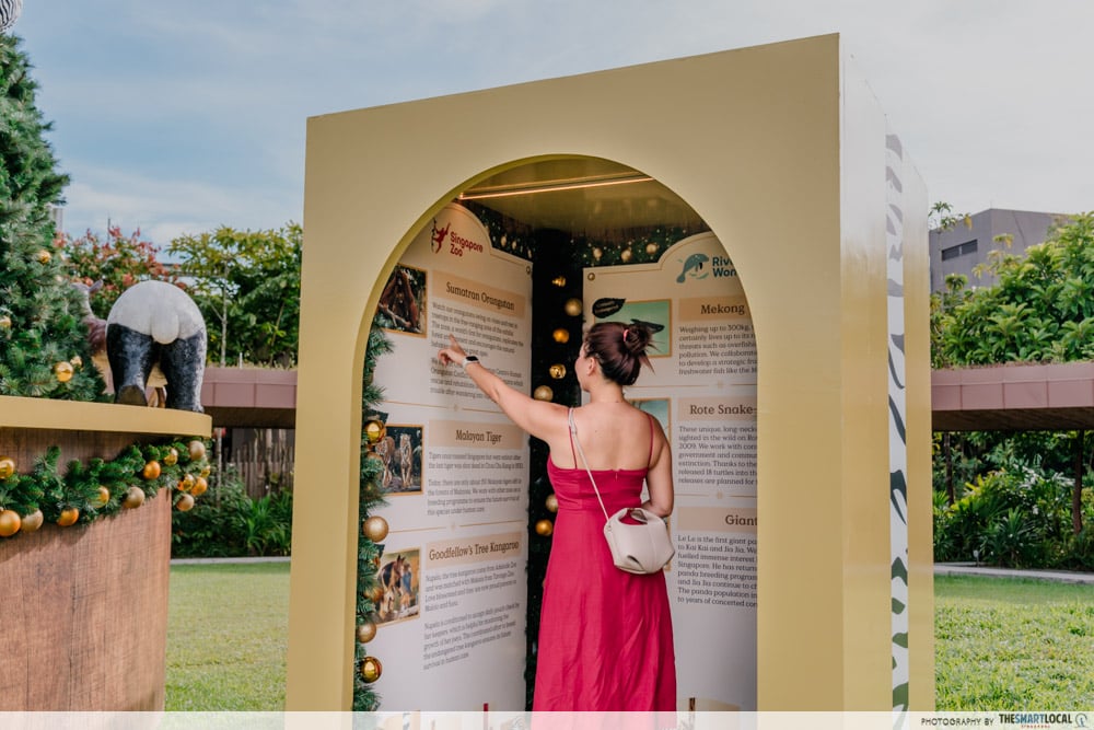 mandai festive wild-erland - read about threatened species