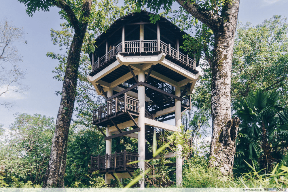 Pasir Ris Bird Watching Tower