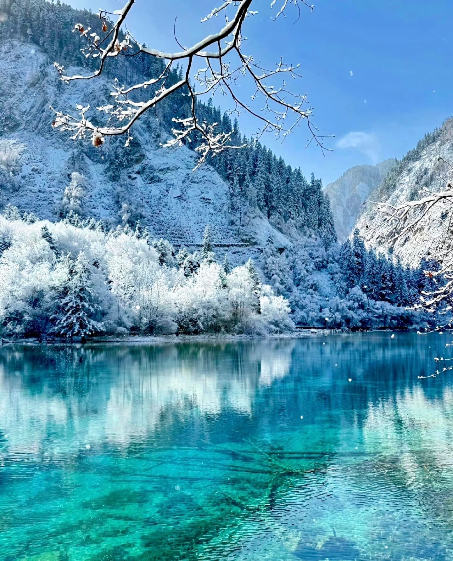 jiuzhaigou five color pond