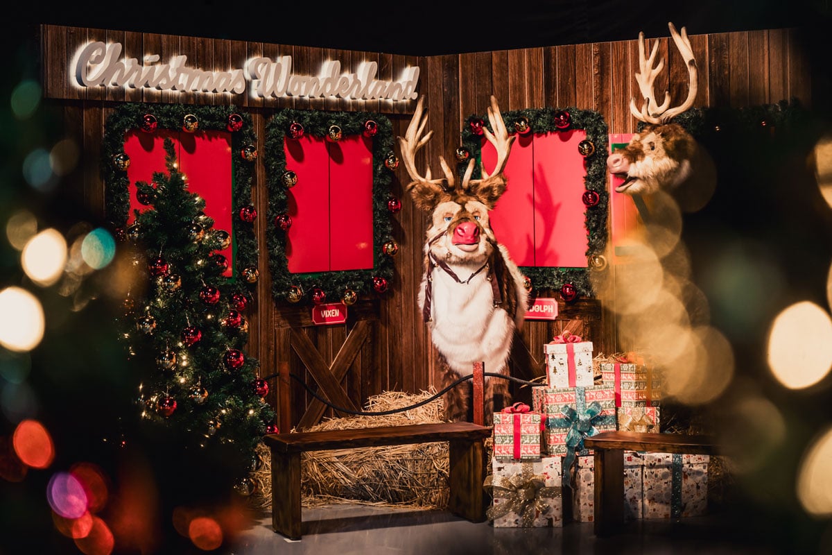 christmas wonderland reindeer