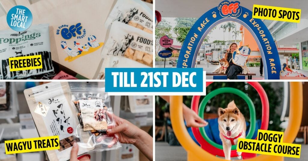 This Holland V Pet Festival Has Xmas Gift Swaps & A Pup-Friendly “Amazing Race”, Join Furbaby & Me Workouts Too BIG FURRY FESTIVAL COVER